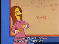 Season 1 GIF by The Simpsons