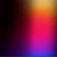 Black Friday Promo GIF by Divvino