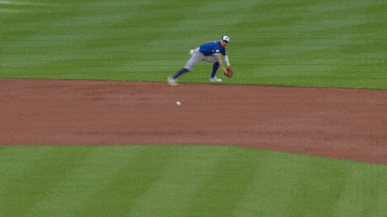 Blue Jays Baseball GIF by Toronto Blue Jays