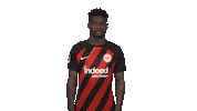 Oh No Frankfurt Sticker by Bundesliga