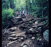 leave no trace hiking GIF by Adirondack Council