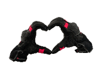 In Love Heart Sticker by Quarter Mile
