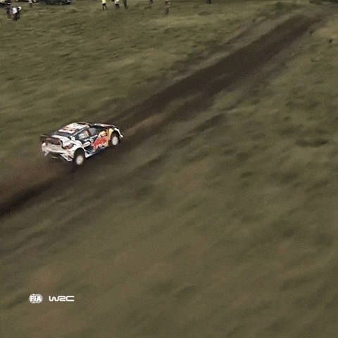 Ford Car GIF by FIA World Rally Championship