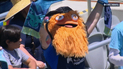 Sport Fan GIF by National Women's Soccer League