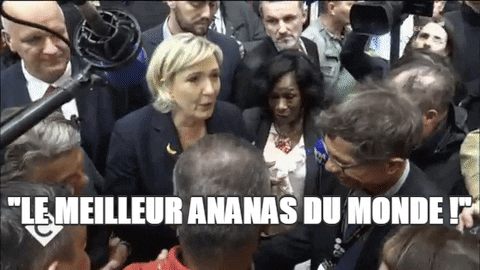 marine le pen wtf GIF by franceinfo