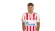 Red Star Football Sticker by FK Crvena zvezda