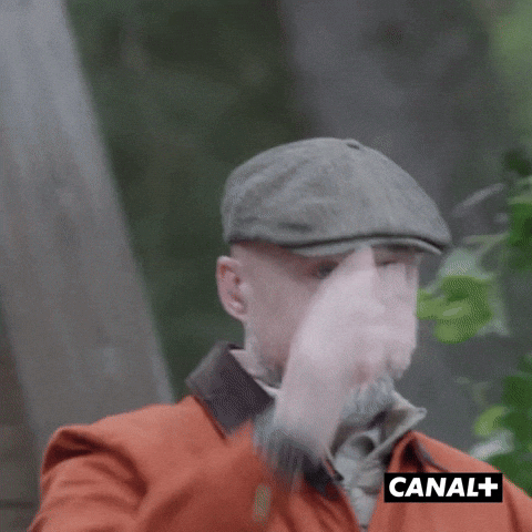 Raid Irl GIF by CANAL+