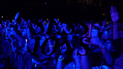 Sessions GIF by PopShift Magazine
