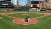 Home Run Baseball GIF by Toronto Blue Jays