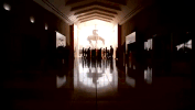 oklahoma GIF