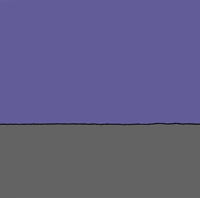 chippythedog chippythedog GIF