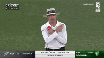cricketcomau test cricket umpire drs GIF