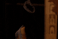 Miss Universe GIF