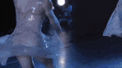 royaloperahouse within the golden hour GIF