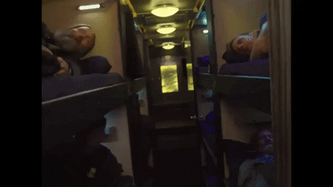 Gelo3 giphygifmaker metal mastodon show yourself GIF