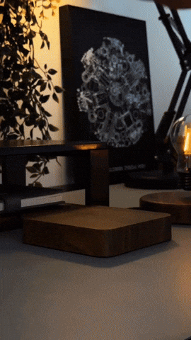 matteopellegrini24 giphyupload GIF