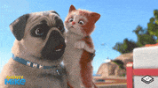 boomerangtoons happy funny fun cute GIF