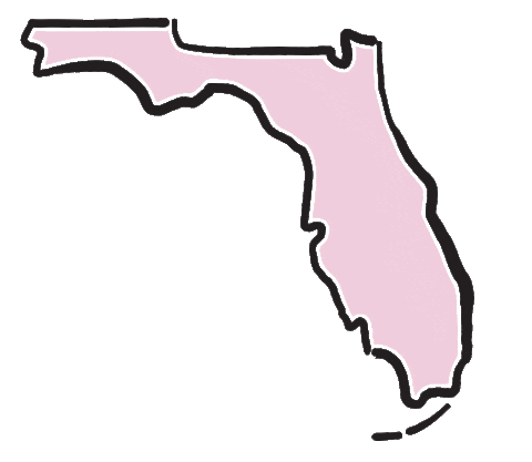 South Florida Beauty Sticker by laserbynicole