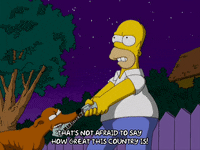 homer simpson episode 3 GIF