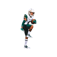 Usf Football Sticker by SoFloBulls