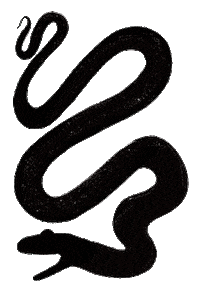 Snakestone Sticker by Nosy Crow