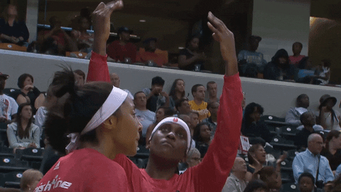sport sky GIF by Indiana Fever