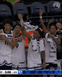 Celebration Nba GIF by Minnesota Timberwolves