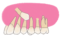 Teeth Dentist Sticker