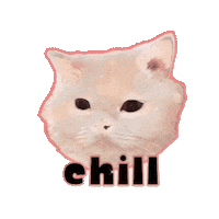 Cat Chill Sticker