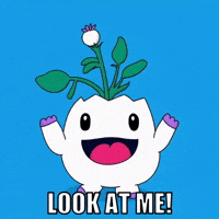 Im Cute Look At Me GIF by Magic Eden