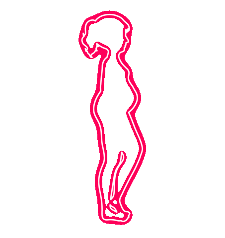 xoacademia giphyupload dieta emagrecer em casa xoacademia Sticker