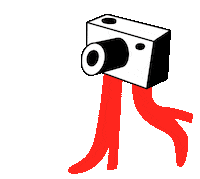 Taking Picture Photo Sticker by pirogart