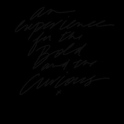 Transcendanceproject giphygifmaker giphygifmakermobile transcendance transcendanceproject GIF