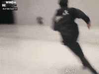 Choi Seungcheol 세븐틴 GIF