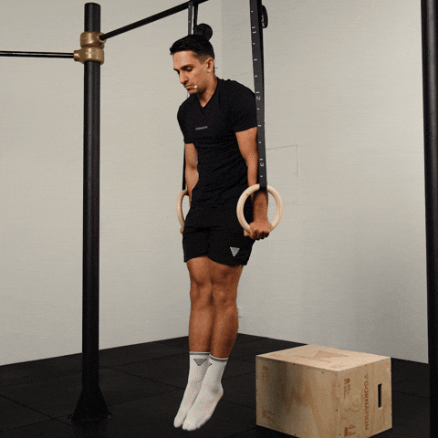 Calisthenics Daniel Flefil GIF