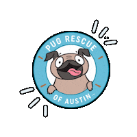 pugrescueaustin pug pra pugface pugrescueofaustin Sticker