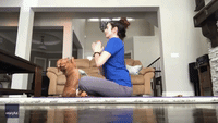 Cute Dachshund Strikes a 'Dog-a' Pose