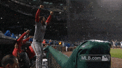 GIF by MLB