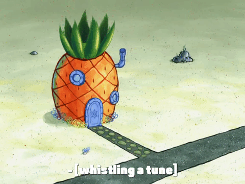 season 8 episode 3 GIF by SpongeBob SquarePants