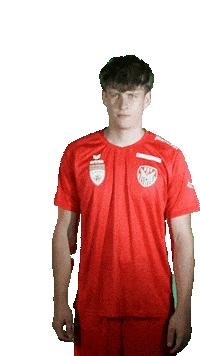 KSV1919 kapfenberg ksv1919 faris kavaz kavaz Sticker
