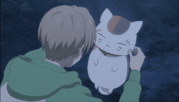 Cat Nyanko Sensei GIF