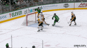 Lets Go Win GIF by Dallas Stars