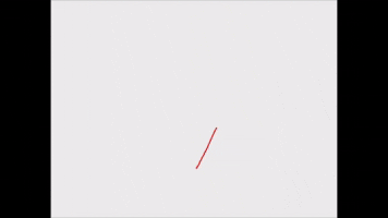 numbers bird