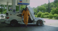 GIF by Domani
