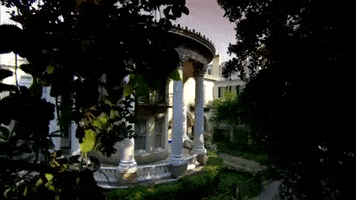 georgia GIF