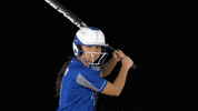 Italia Focus GIF by FIBS - Federazione Italiana Baseball Softball