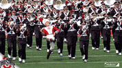 Ohio State Sport GIF by Ohio State Athletics