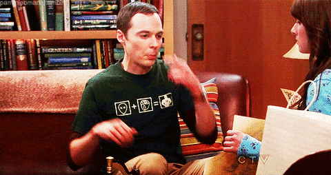 big bang theory no GIF