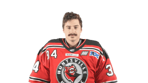 Wave Hello Sticker by Huntsville Havoc