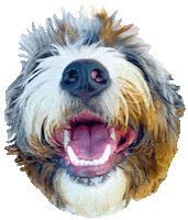 Happy Smiley Face Sticker